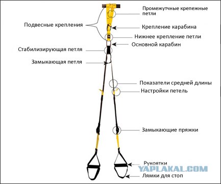 Как сделать TRX в домашних условиях. 27 фото