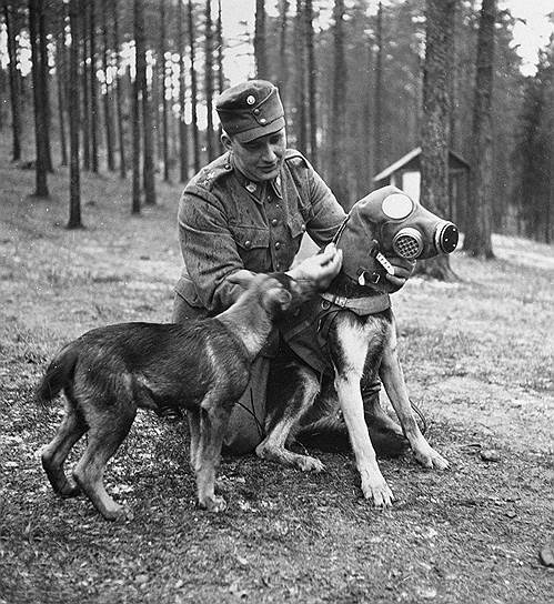 Самая холодная война