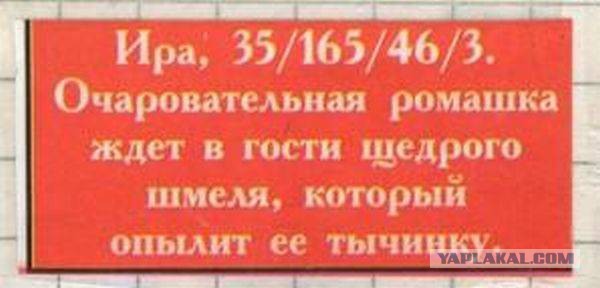 Немного картинок из сети
