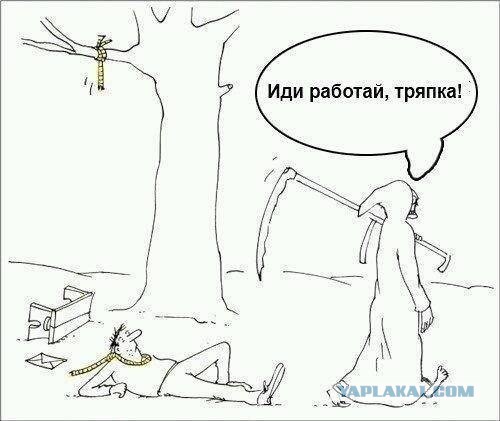 Просто картинки