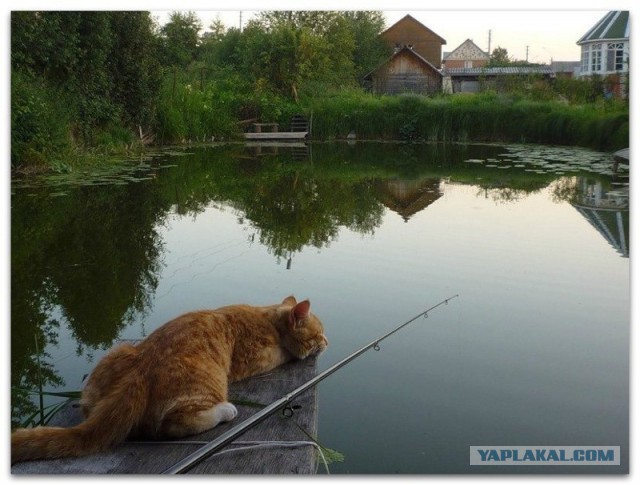 Как я запилил балкон