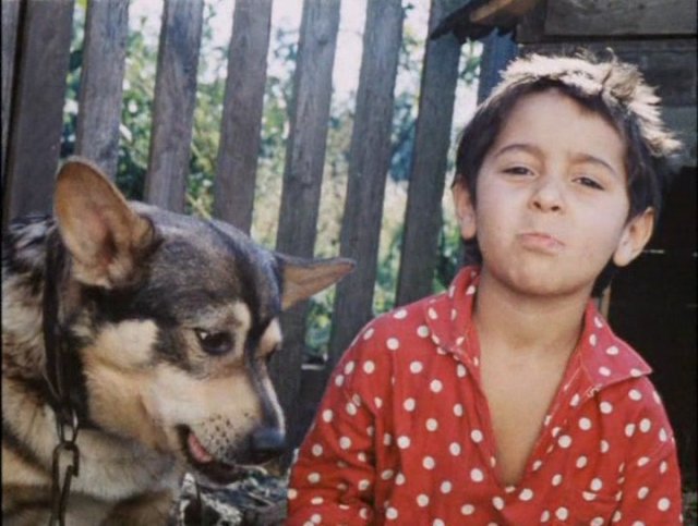 Детские фильмы, которые сейчас не увидишь на ТВ