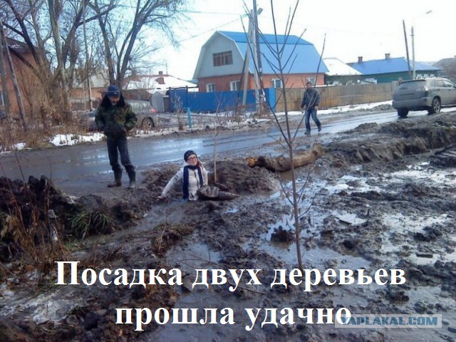 Когда день не задался