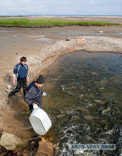 Магадан, старые и новые фотки