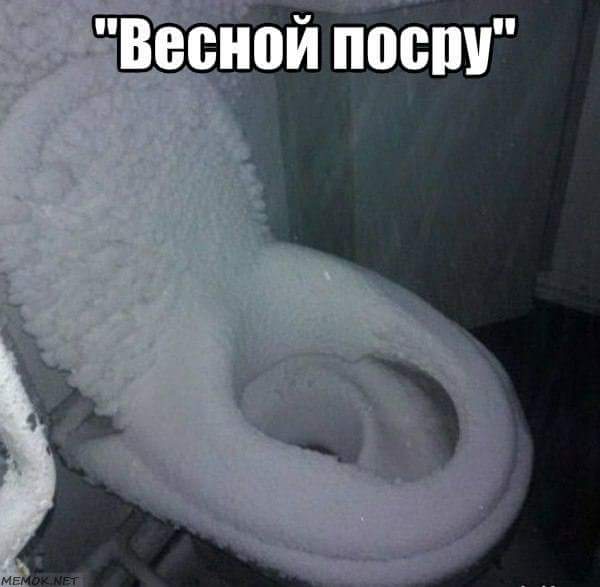 Леденящий душу сортир