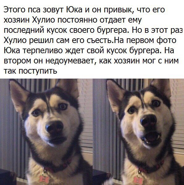 Картинки с надписями на разные темы - 2