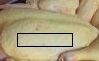 Беловежские события, или СССР - ужасная страна!