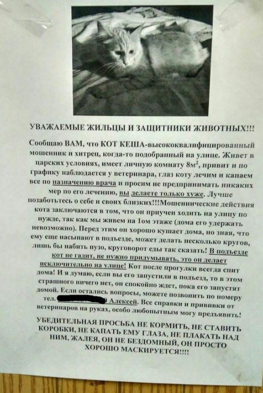 Подборка интересных и веселых картинок