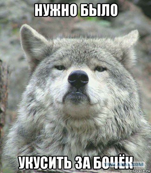 Вставай свинья, хватит уже спать!
