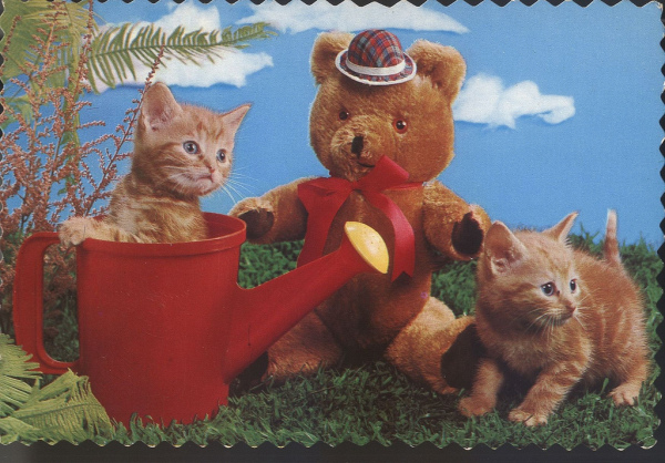 Винтажные кошки (47 фот)