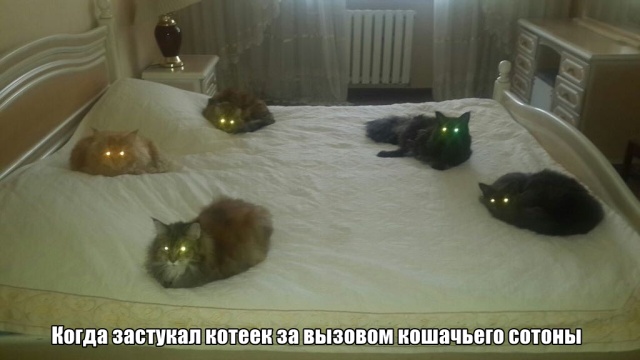 Немного милоты