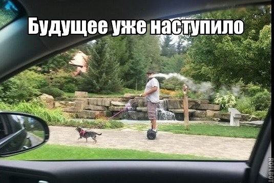 Лента прикольных картинок