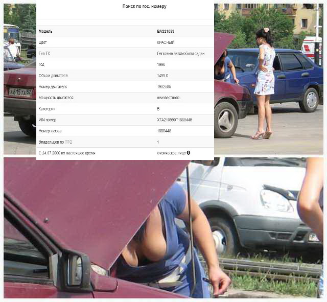 Лента прикольных картинок