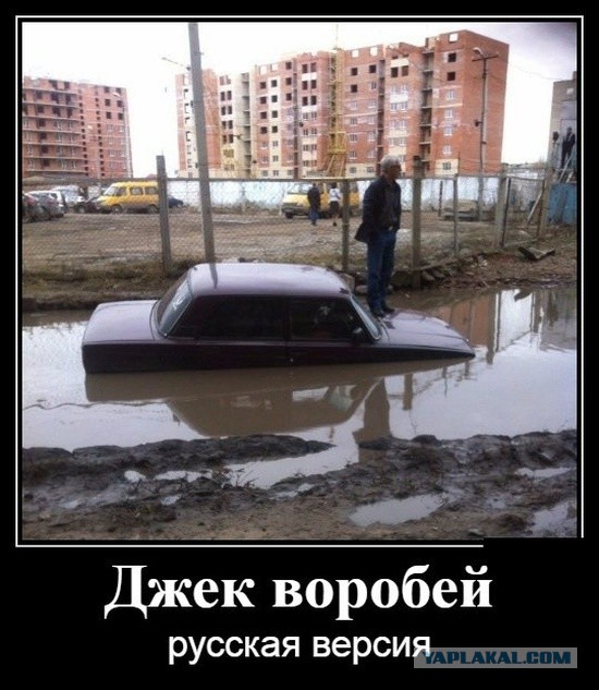 103 картинки для поднятия настроения!