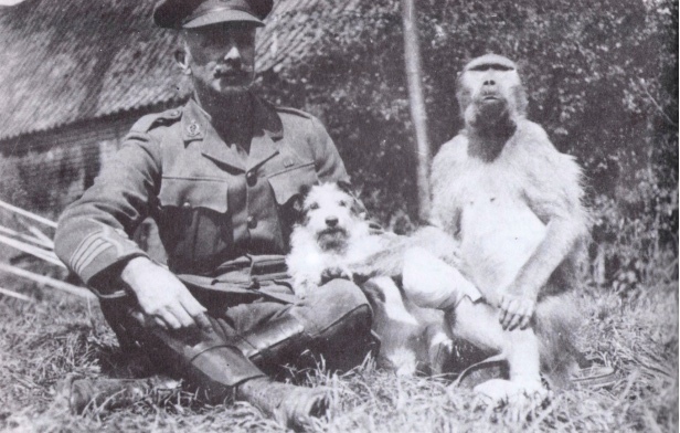 Капрал Джеки — самый необычный солдат Первой мировой