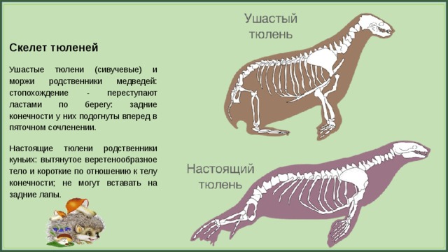 Фотографии, открывающих глаза на то, как работает мир