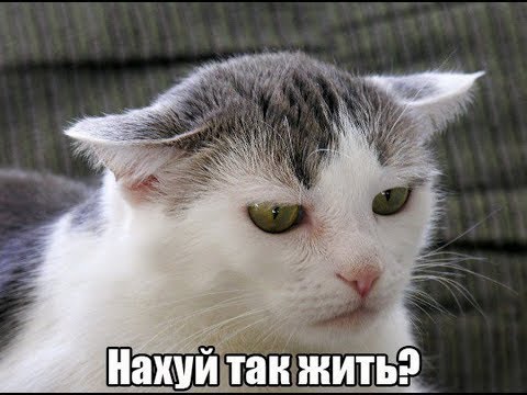Как я ехал на работу