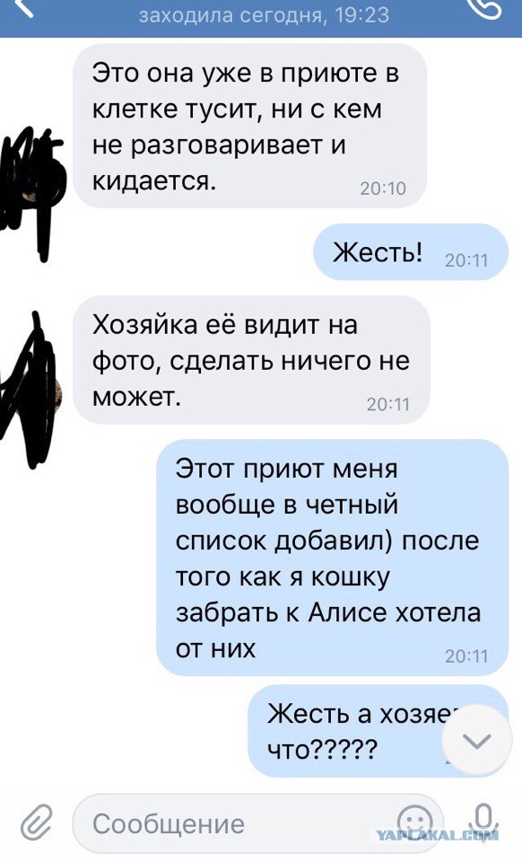 Помогите вернуть кота! Приют "Преданное сердце" украл кота и не отдает!