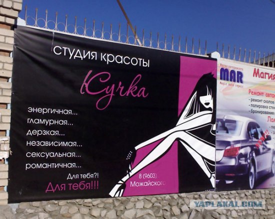 Эта жучка изрядная сучка!
