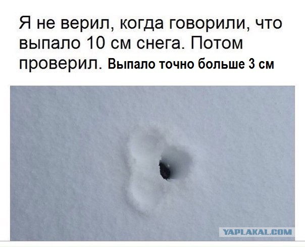 Чуток картинок 11.02.20