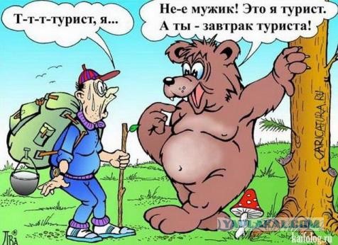 Как медведь готовится к спячке
