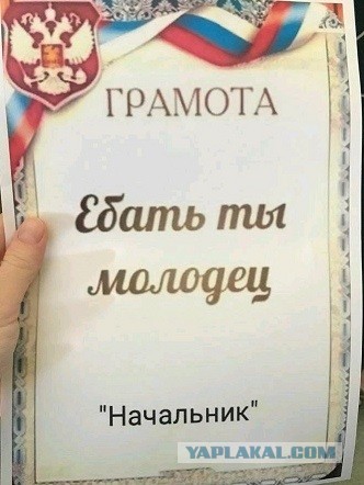 Большое выступление Путина по ситуации с коронавирусом. Прямая трансляция