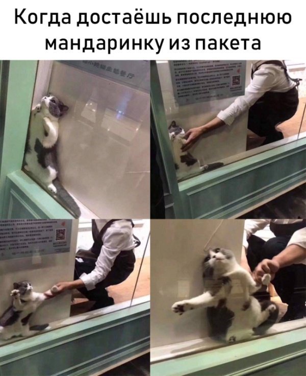 Картинки + буквы