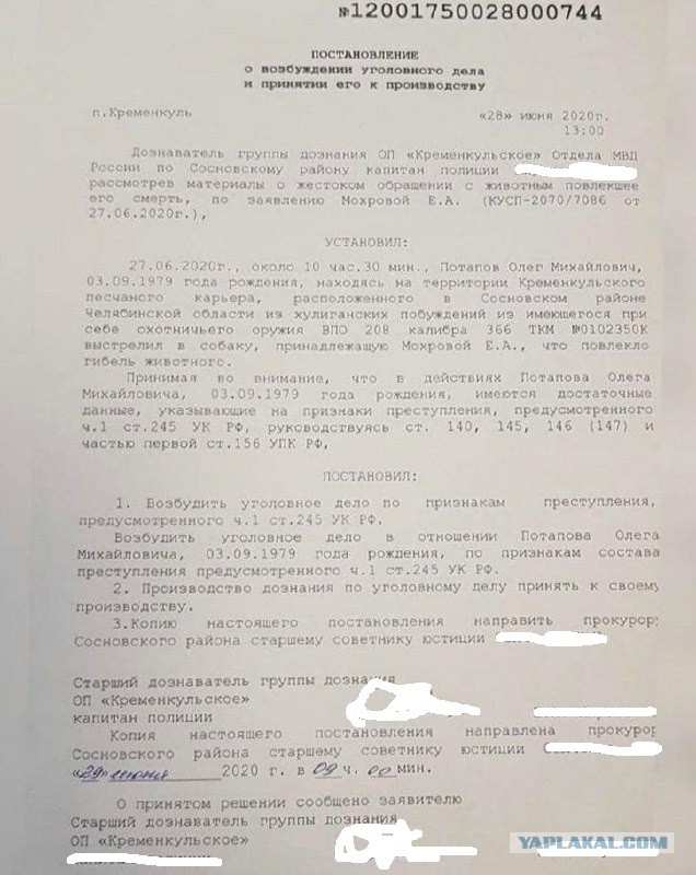 Полное видео про убийство хаски под Челябинском
