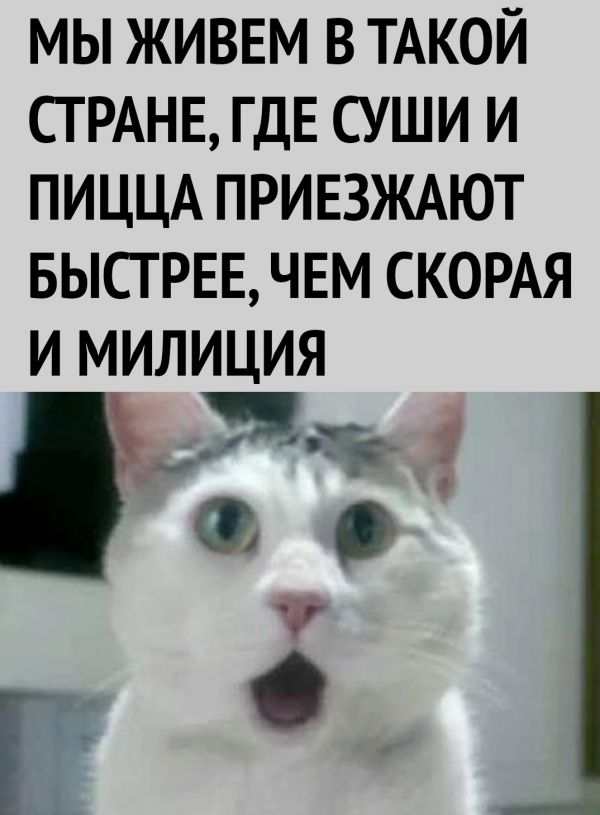 Картинки разнообразные. На злобу дня и на доброту (05.10)
