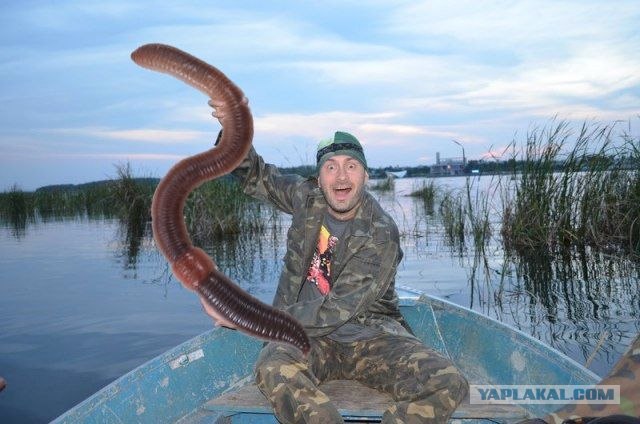 Фотожаба: Рыбаки без рыбы