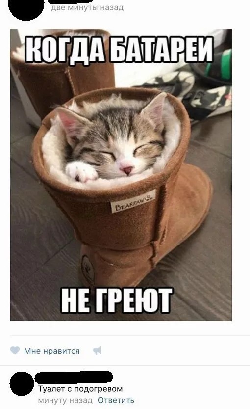 Воскресная деградация