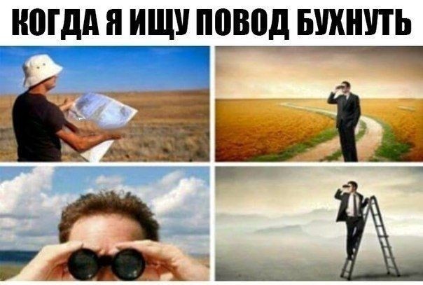 Алкопост 13.02.21 (деградация)