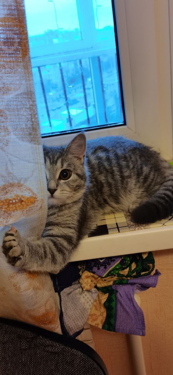 Вторник. Котэ. Пора