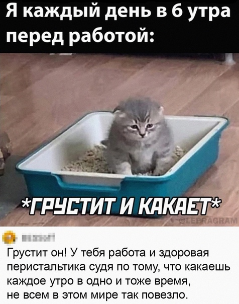 Картинки и мемы для настроения 21.12.21