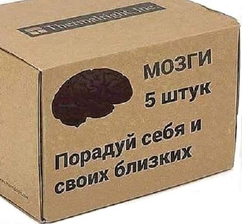 Замучившие кота Кузю северодвинцы получили 3,6 и 3,2 года колонии
