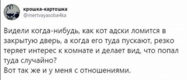 Забавные и веселые картинки