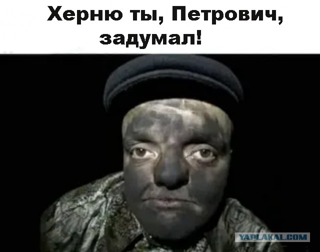 Весёлый полтишок 20.04.22