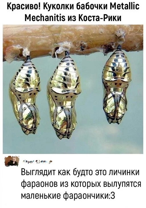 Картинки с надписями 17.06.22
