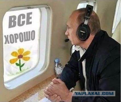 Пандемия съехавших крыш - разновидности болезни. Россия и мир. Часть 43.