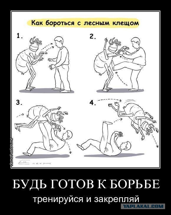 30 Пикчев из старых запасов