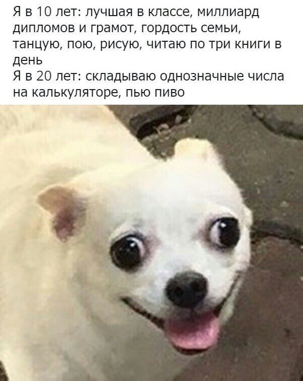 Народная меДИЧина 7037