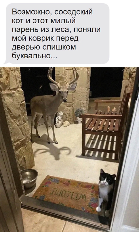 Картинки и мемы для настроения - 133