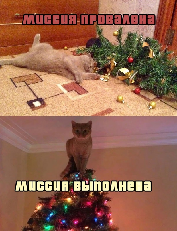 Немного картинок для настроения - 131