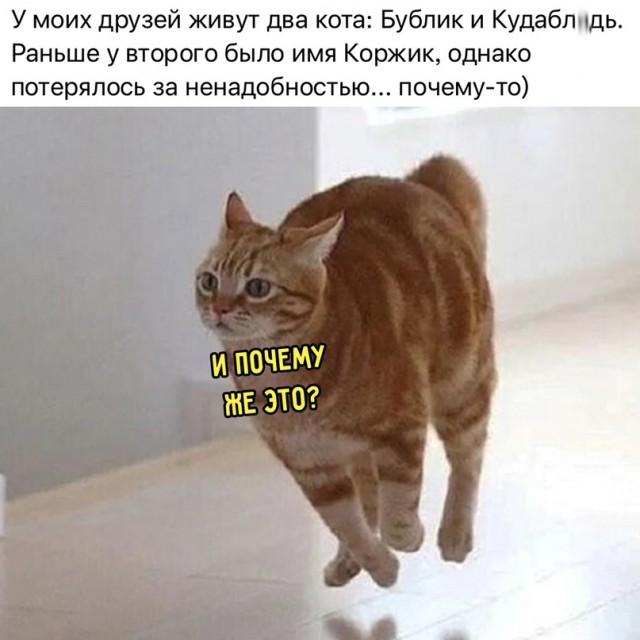 Картинки аморальные и всякие разные - 48
