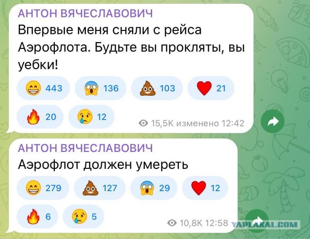 Полиция начала проверку Антона Красовского. Причина — его недавний дебош на борту рейса Москва-Ташкент