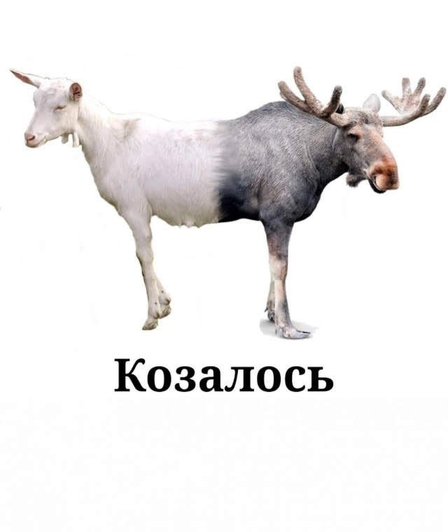 Васюганские болота: где находится самая огромная и неприступная топь в мире и что мы знаем о ней