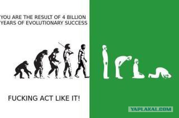 Обращение дагестанца к землякам