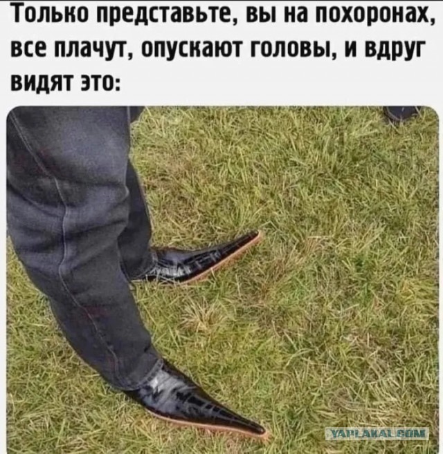 Так себе картинки 08.07.23