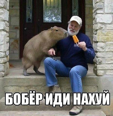 Фотка МАКСИМАЛЬНОГО добра!