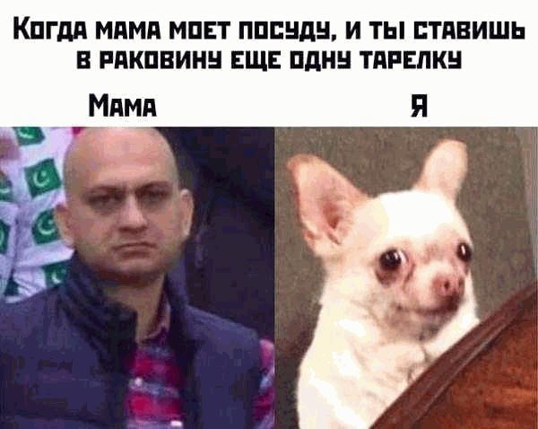 Весёлый полтишок 01.11.23